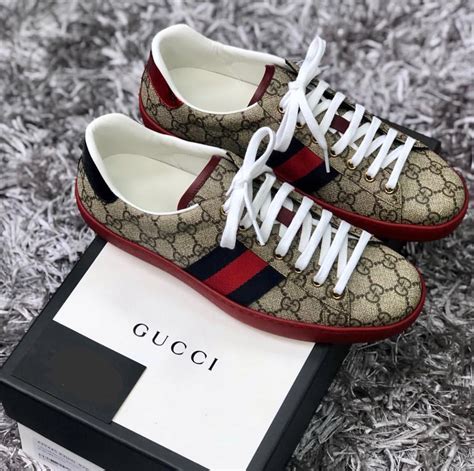 tenis gucci precio